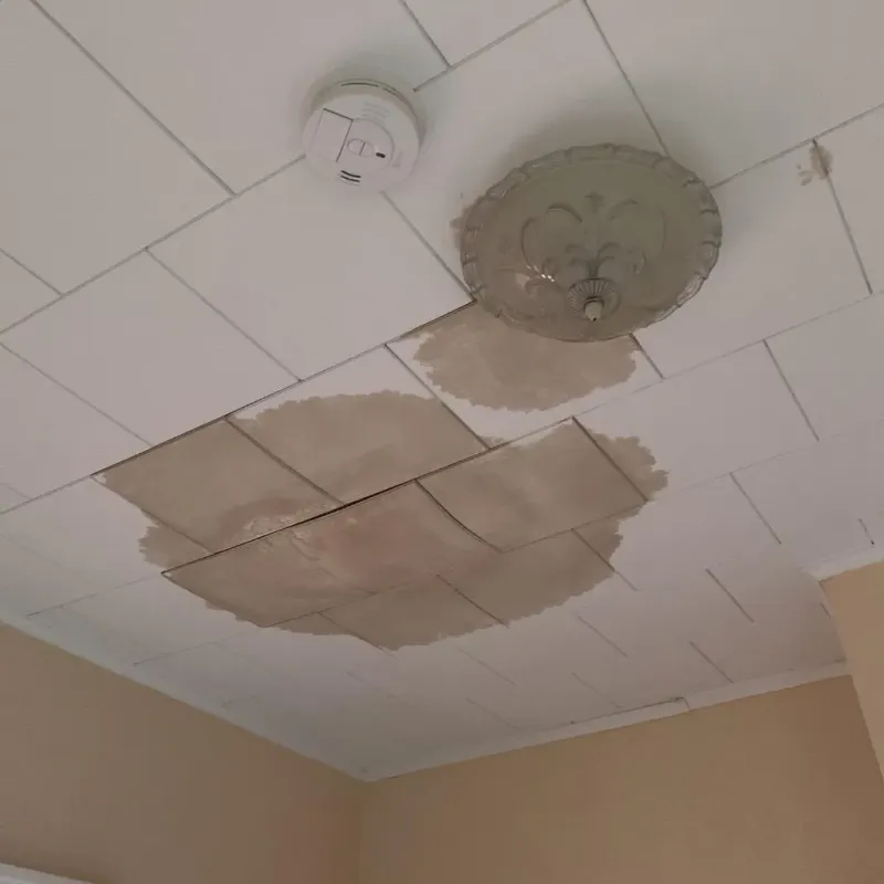 Ceiling Water Damage Repair in Renville, MN
